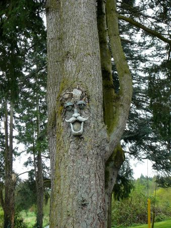 p10308222 © 2008 by V. Nesdoly