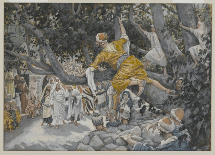 Zaccheus in the sycamore tree by James Tissot