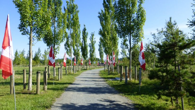 Canadian flags line walk