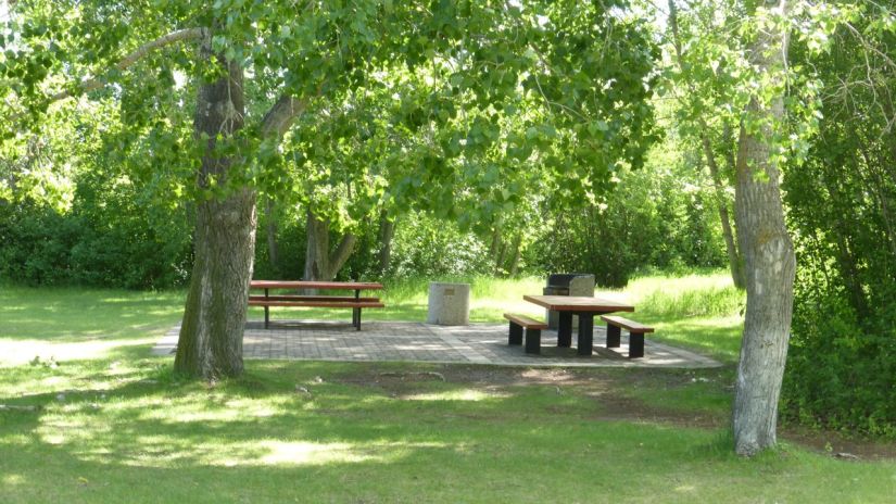 Picnic tables in the park