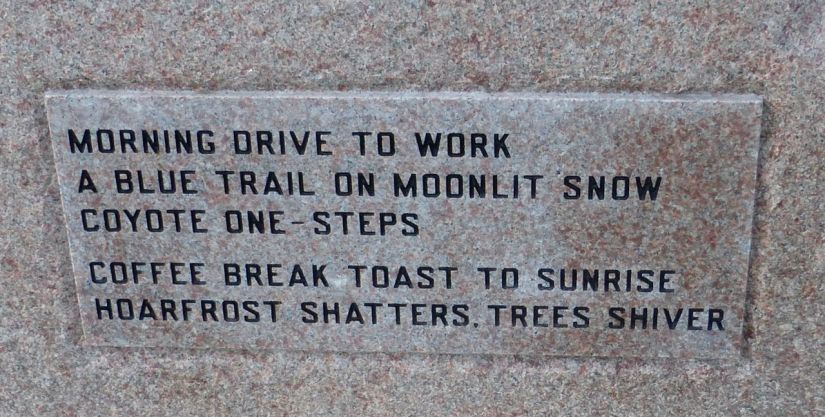 Morning drive to work...