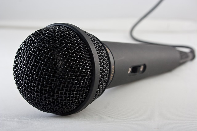 microphone-1068289_640