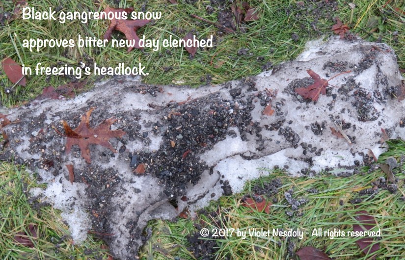 black-gangrenous-snow