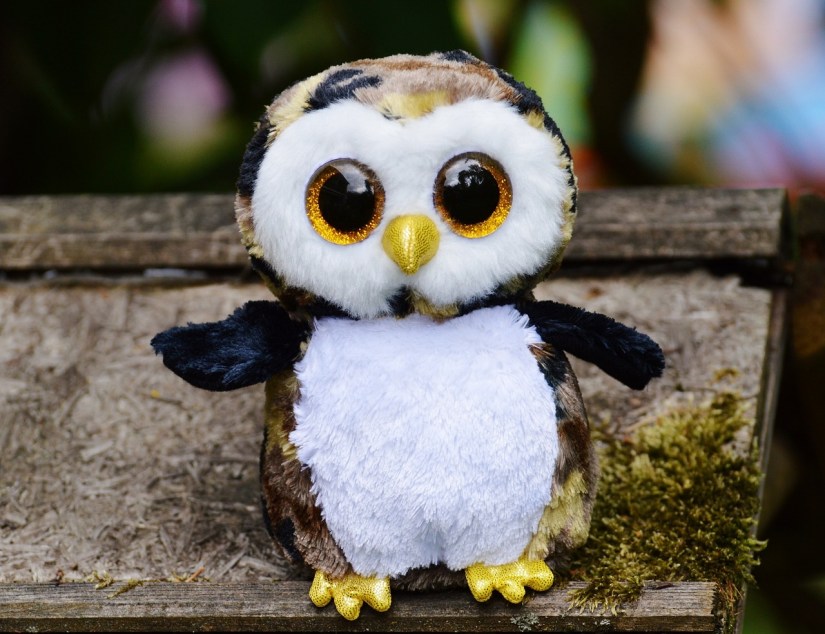 owl-845256_1280