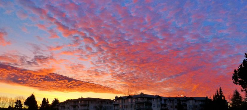 Pink clouds reflecting sunrise