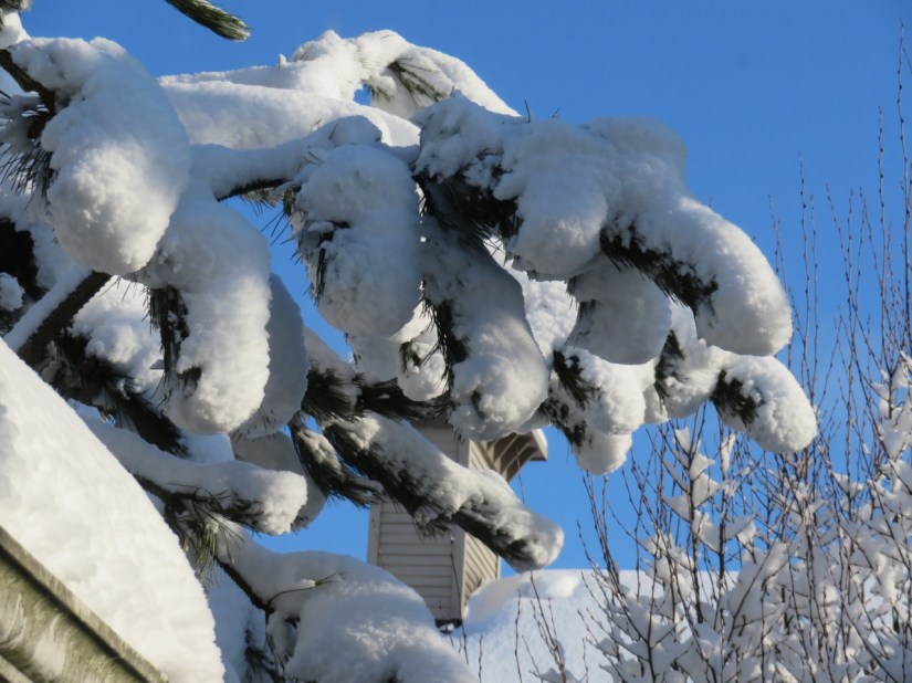 02-24-18 Prompt Free