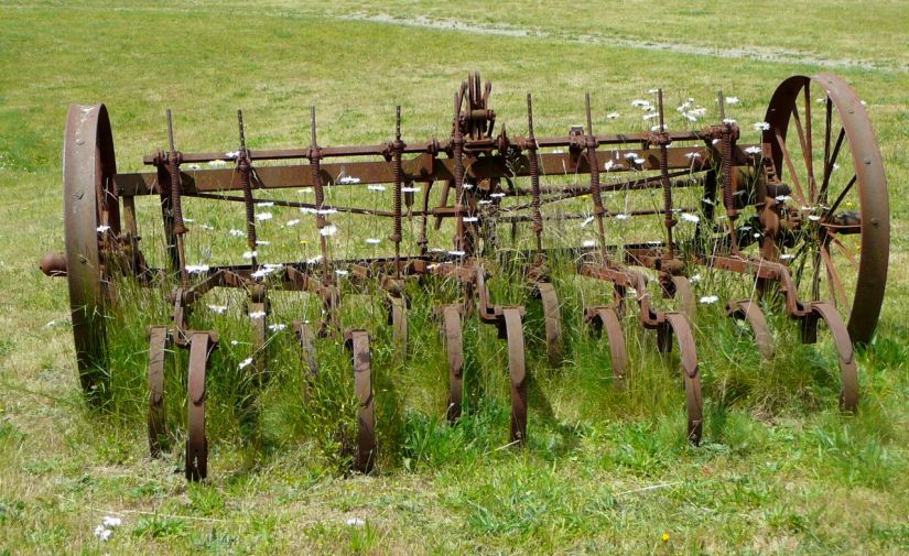 Cultivator in grass and flowers