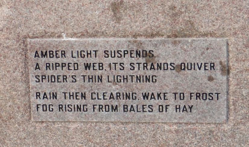 Amber light suspends