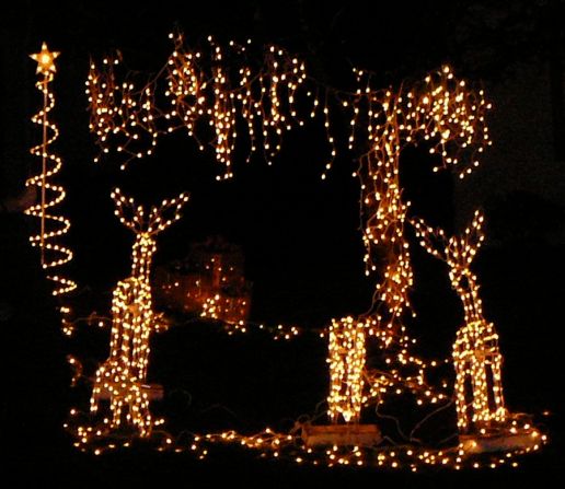 Reindeer Christmas decorations