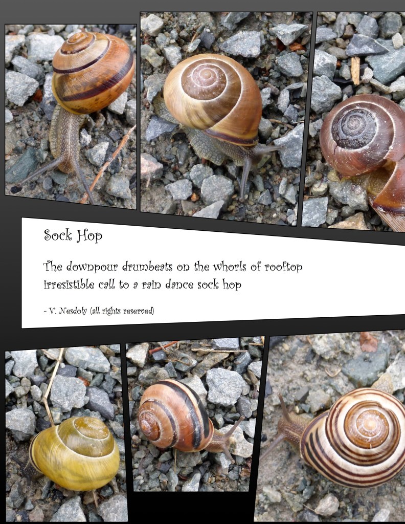 Sock Hop poem with snail collage