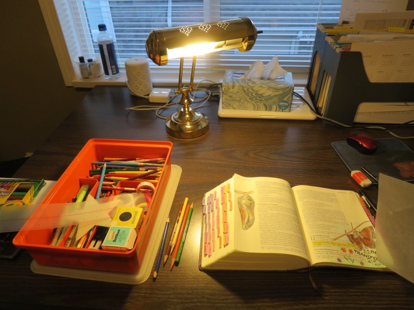 A favourite time of day